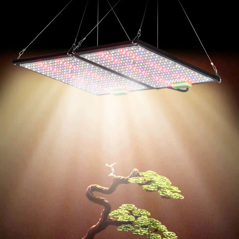 LED Quantum‑Board Grow Light F - Plant Grow Light Full Spectrum ulasan dan harga
