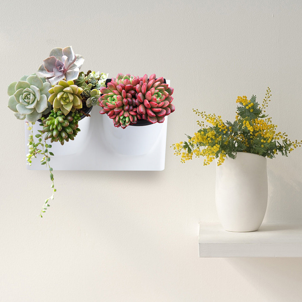 Self Watering Flower Pot Plast - Self Watering Planter ulasan dan harga