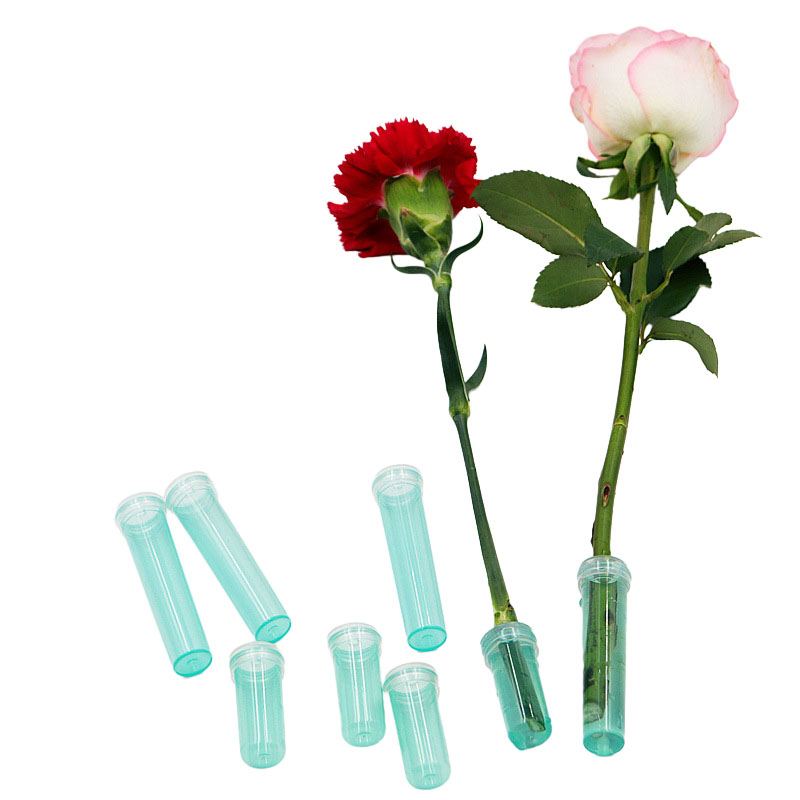 20Pcs Plastic Fresh Flower Nut - Hydroponic Grow Pod ulasan dan harga