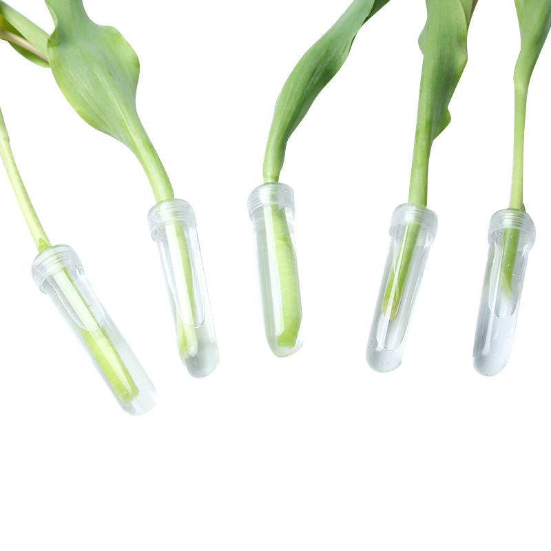 20Pcs Plastic Fresh Flower Nut - Hydroponic Grow Pod ulasan dan harga