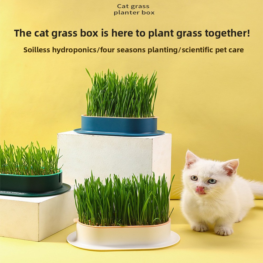 Pet Supplies Cat Snacks Cat Pl - Hydroponic Grow Pod ulasan dan harga