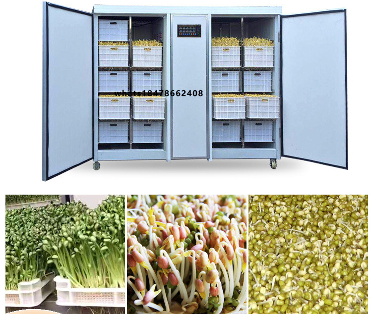 Intelligent High Multi-Sprout  - Automatic Watering ulasan dan harga