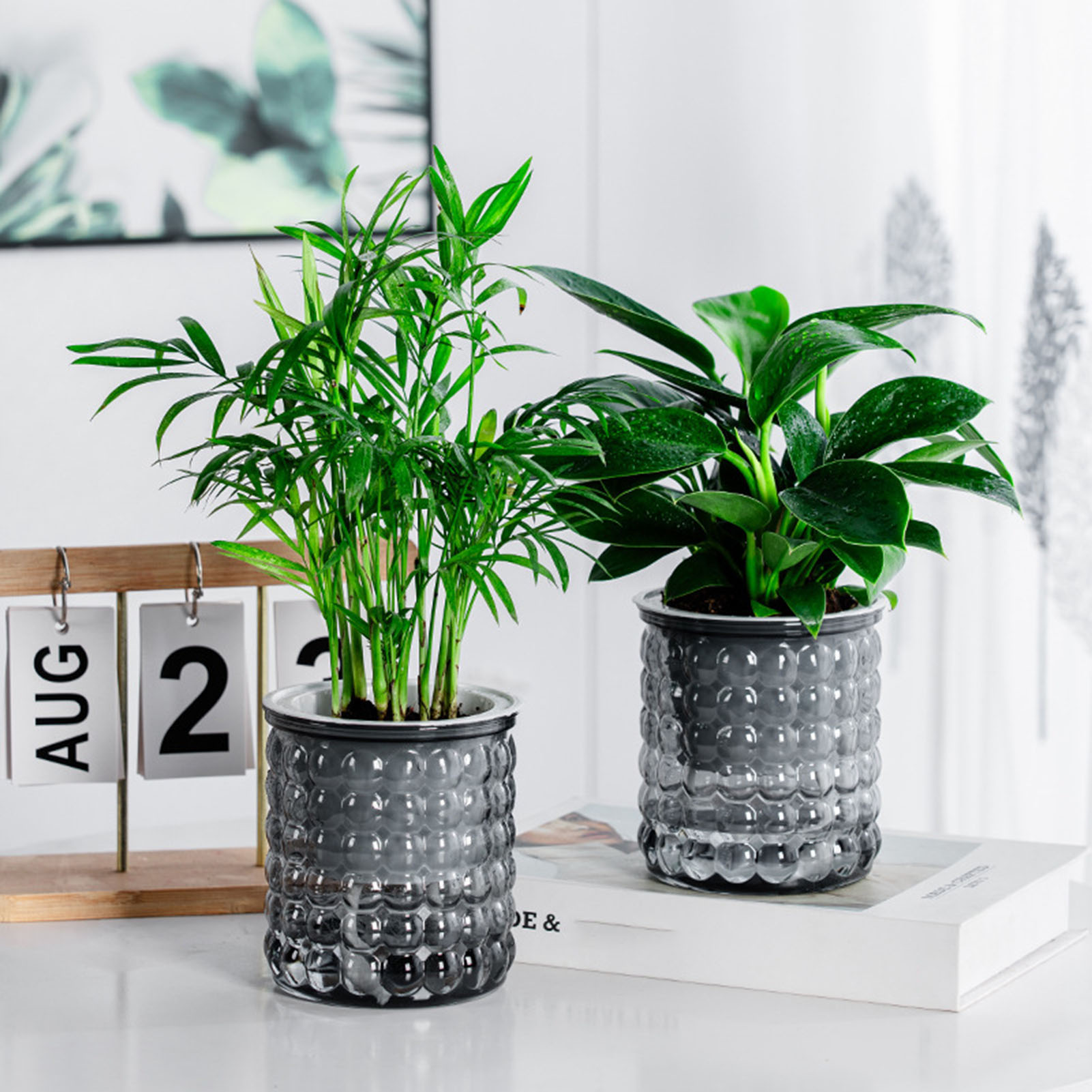 New Self Watering Hydroponic P - Hydroponic Grow Pod ulasan dan harga