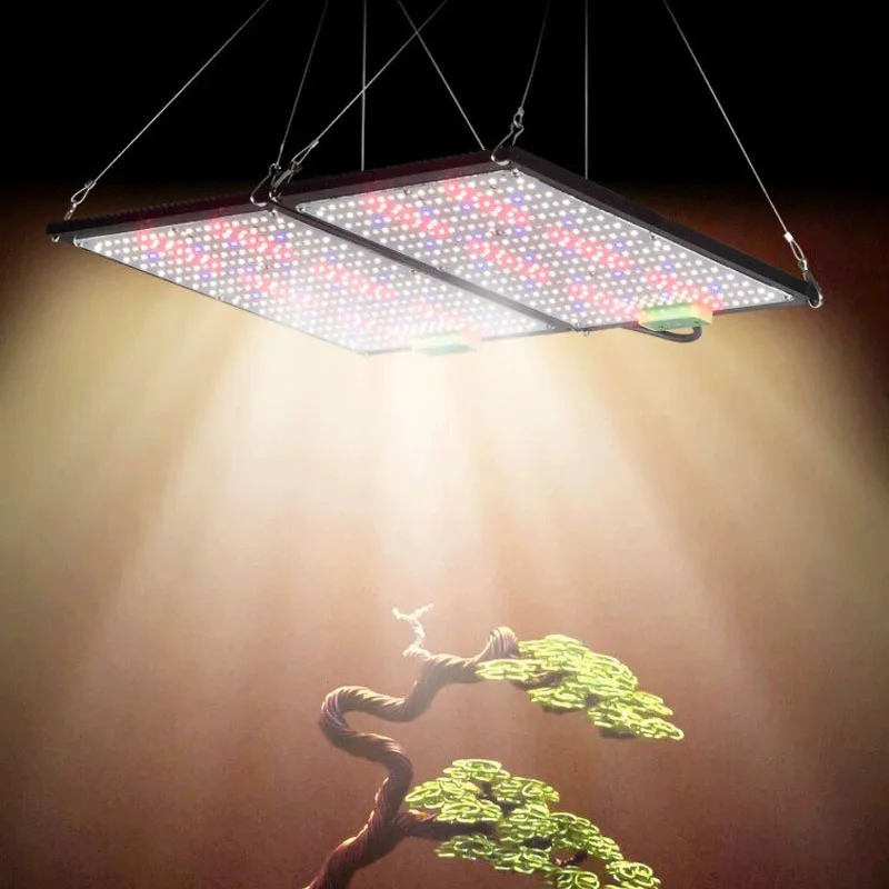 LED Quantum‑Board Grow Light F - Plant Grow Light Full Spectrum ulasan dan harga