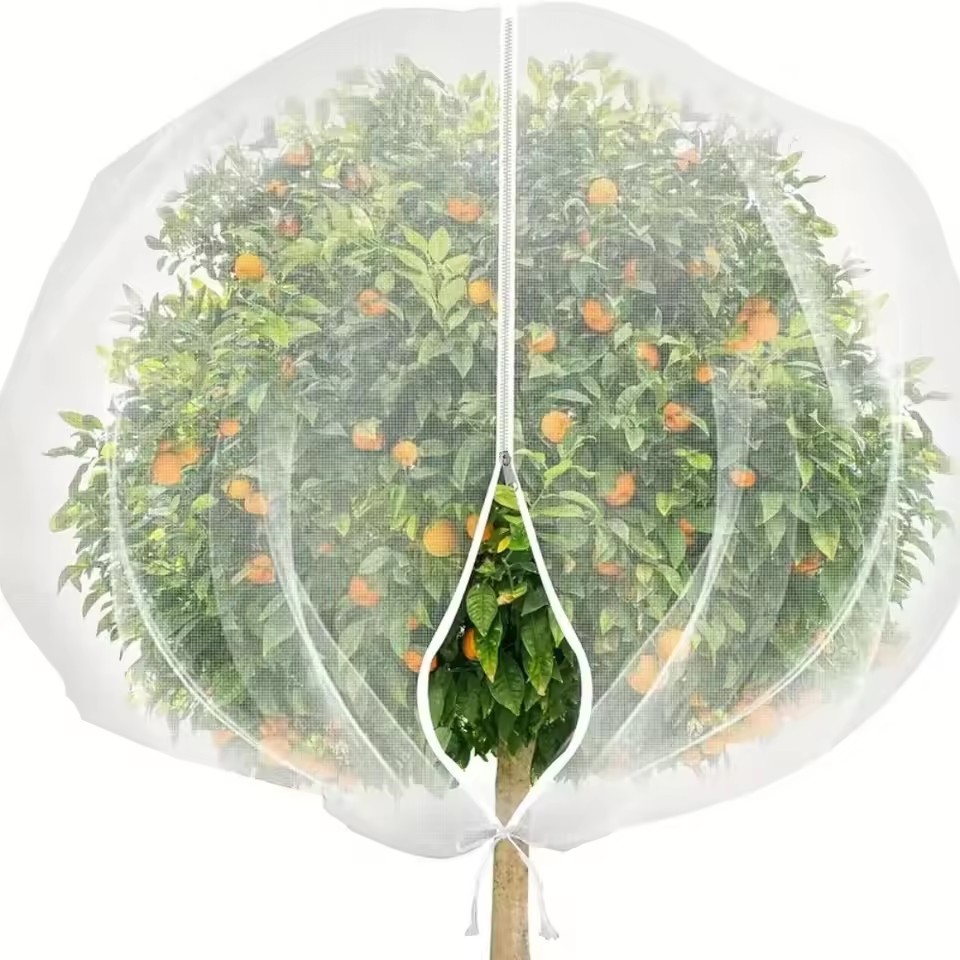 Zip Drawstring Plant Insect Sc - Plant Monitor ulasan dan harga